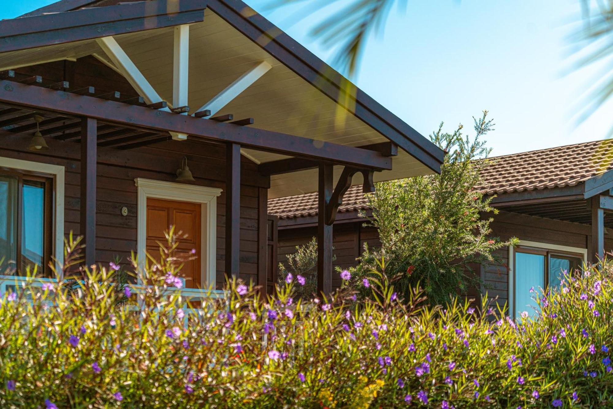 Sedir Park - Beach Bungalow Kargıcak Exterior foto