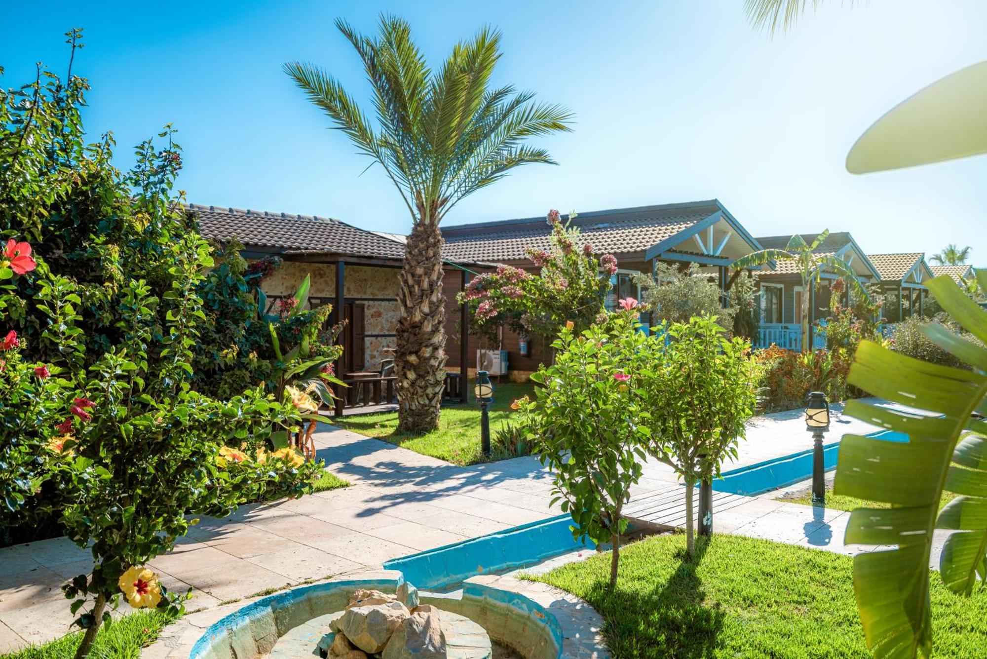 Sedir Park - Beach Bungalow Kargıcak Exterior foto