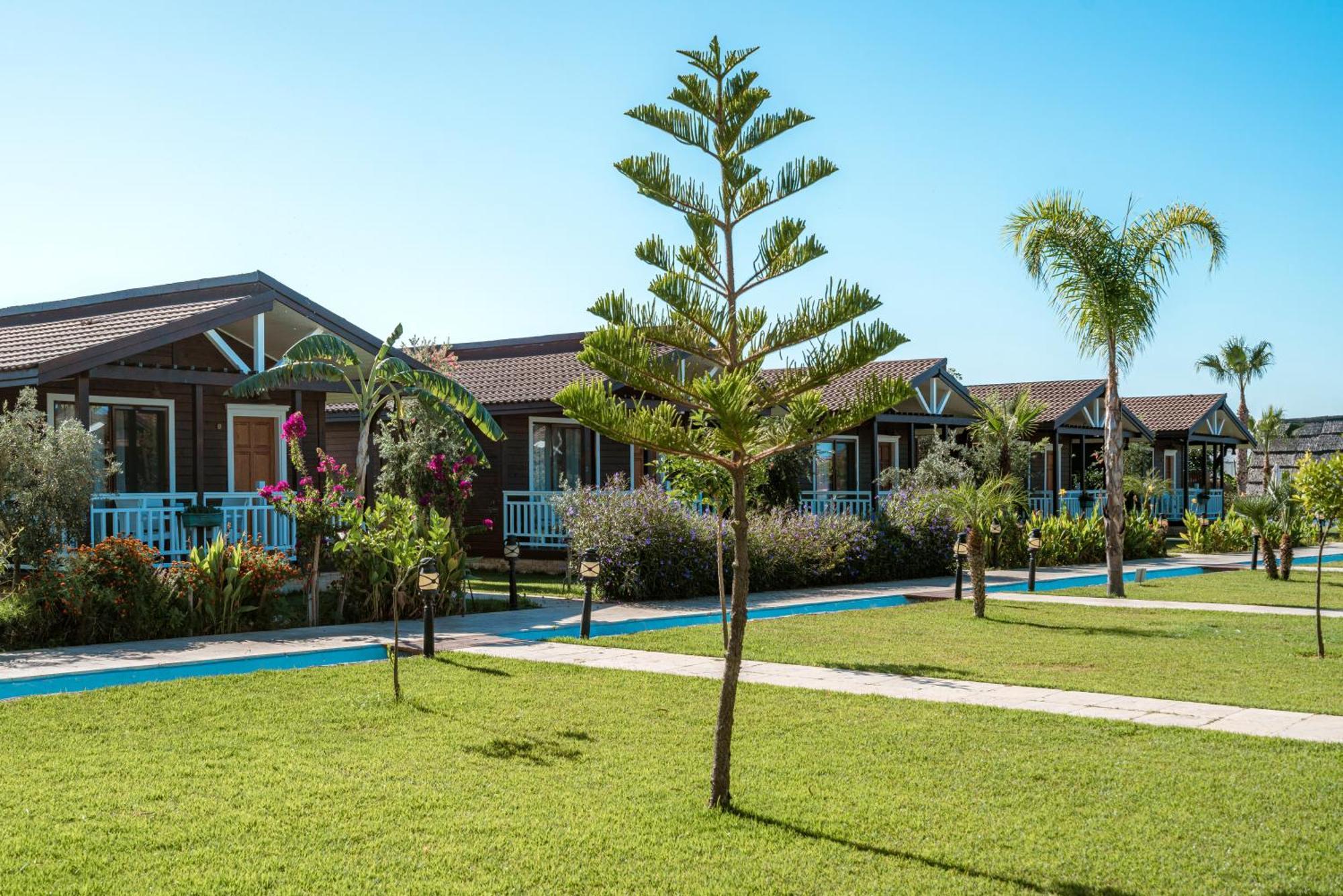 Sedir Park - Beach Bungalow Kargıcak Exterior foto